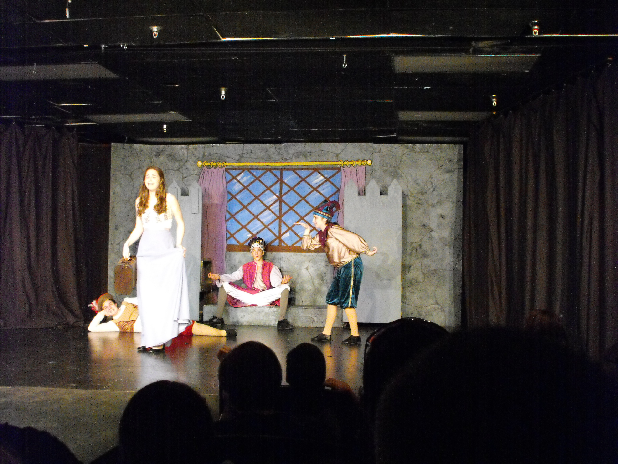 ./2010/Once Upon a Mattress/1st Show 0100.JPG